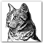  width=